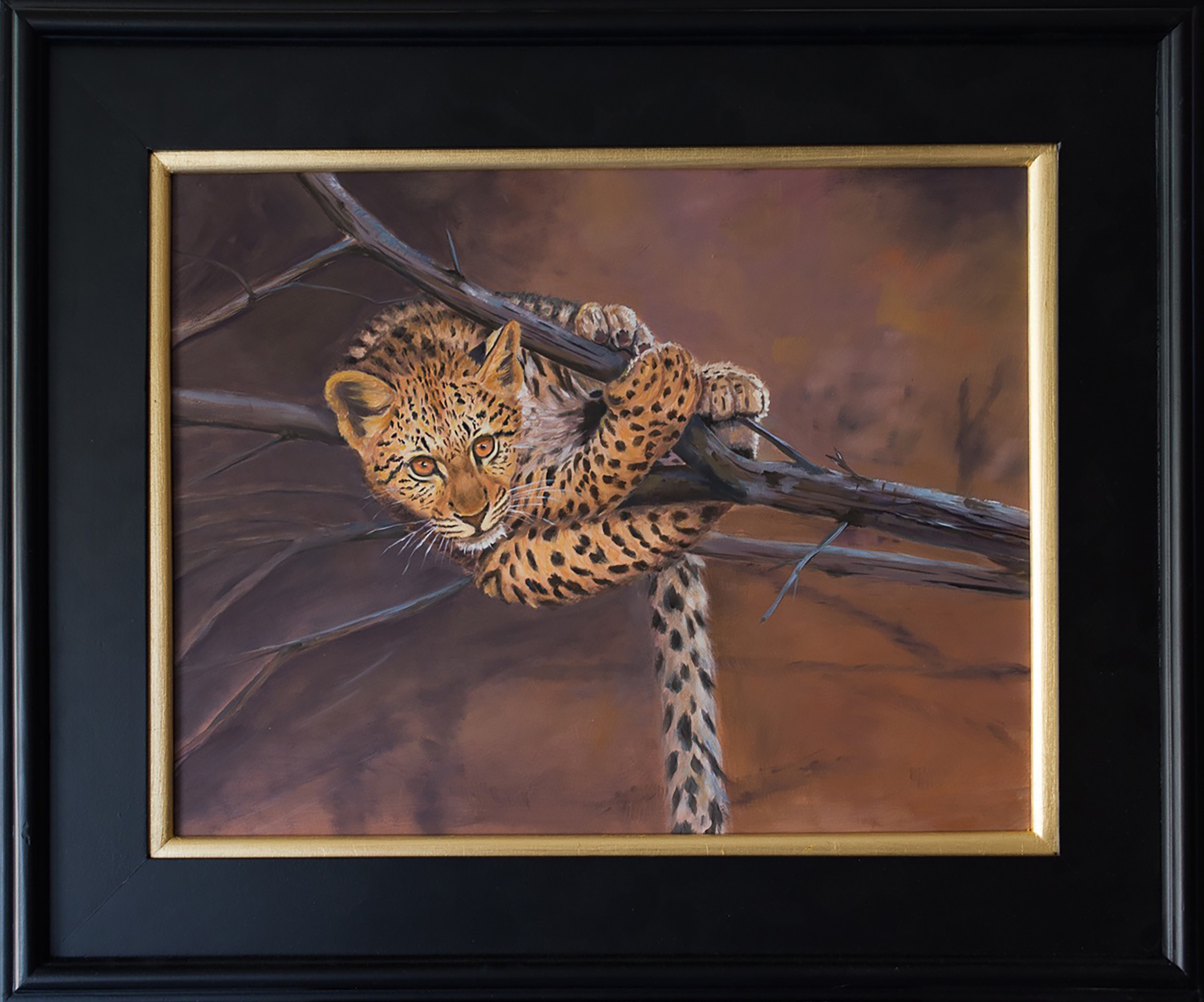 A Cub Above