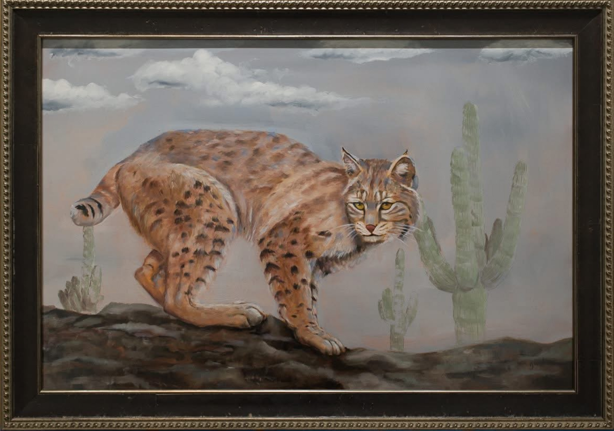 Bobcat