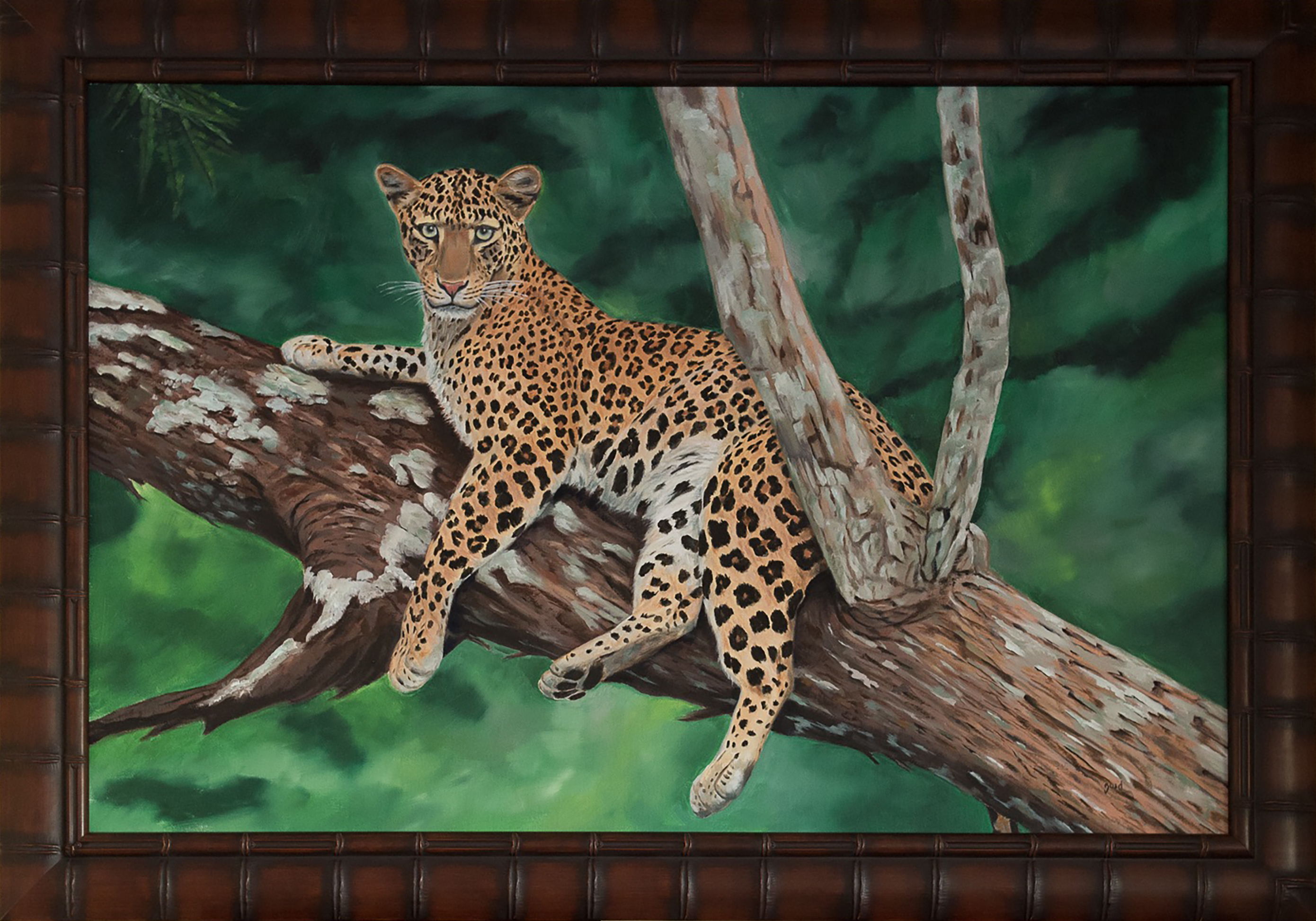 Female Leppy- Above