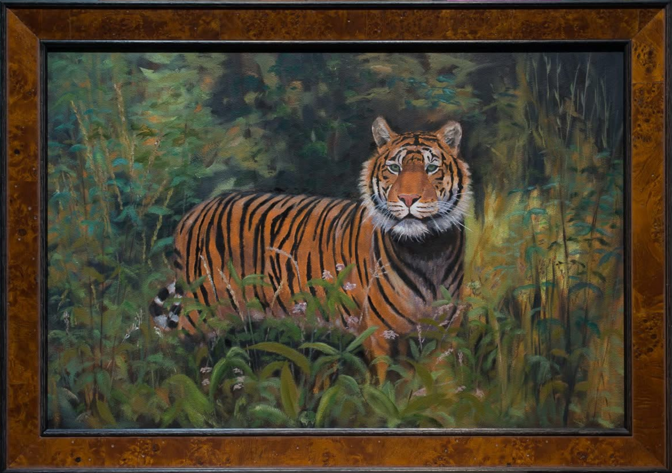 Jungle Tiger