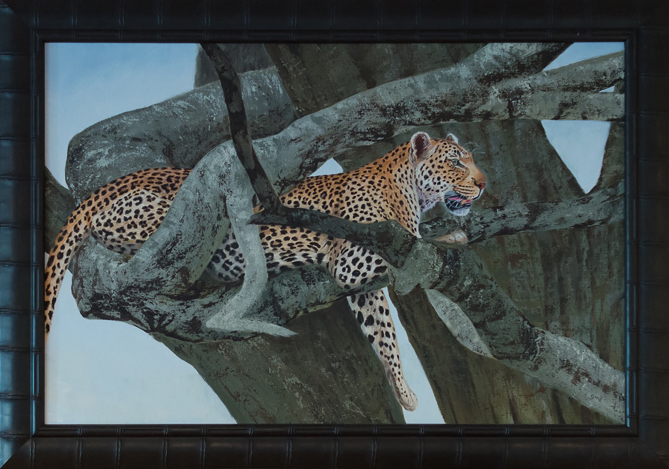 Male Leppy Above