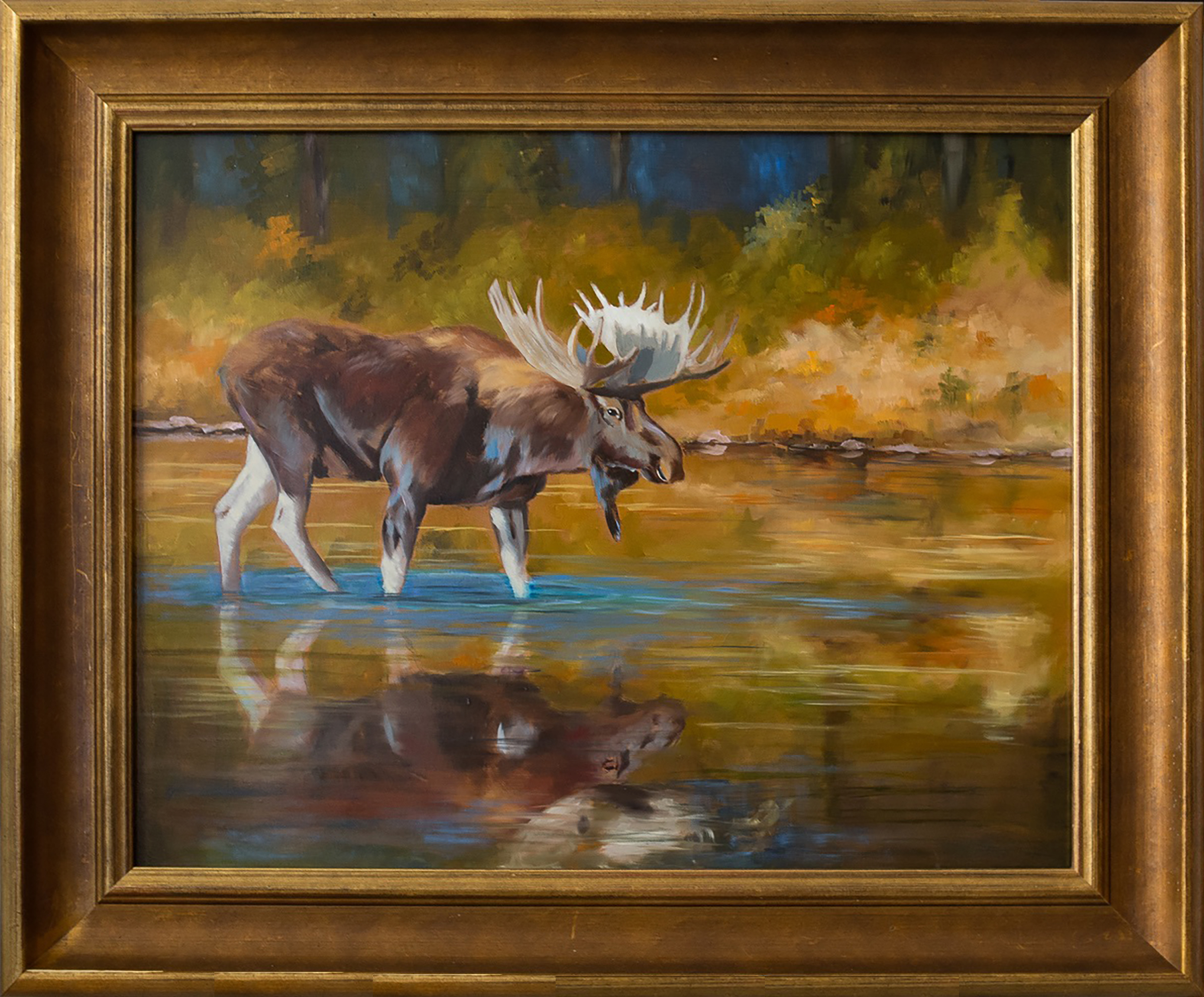 A Genuine Minnesota Moose