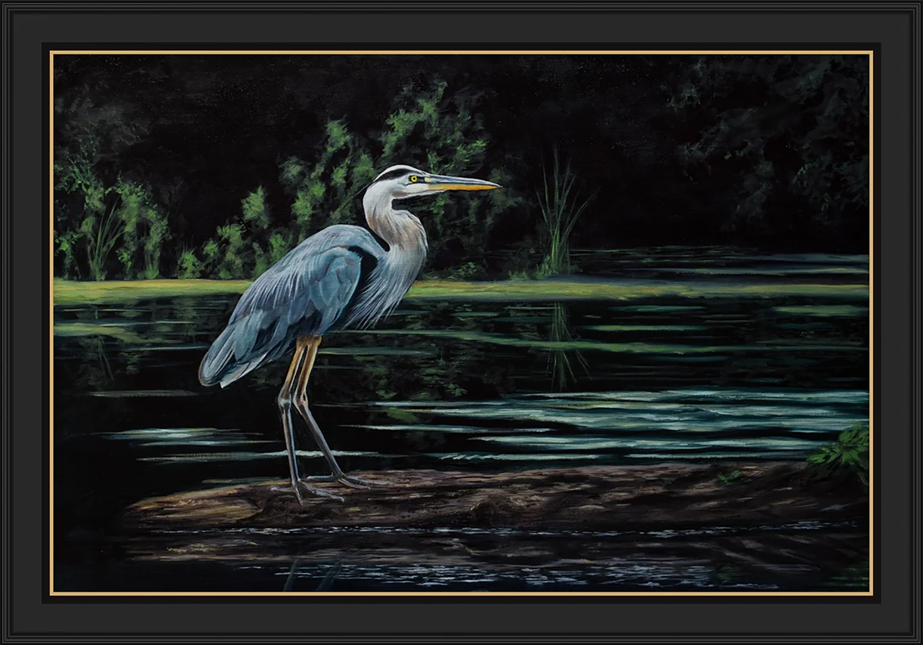 A night on the River