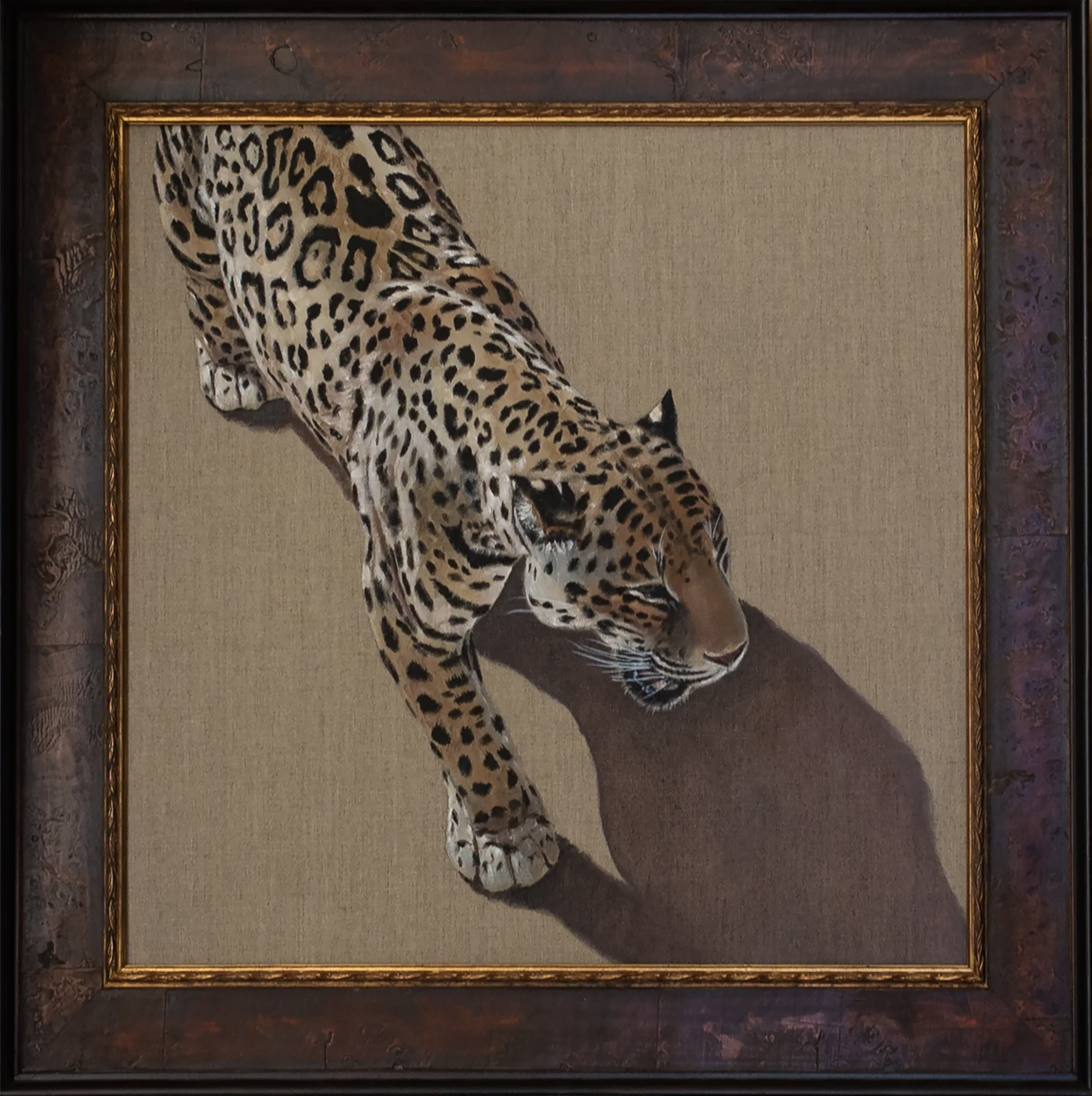 Shadow Jag